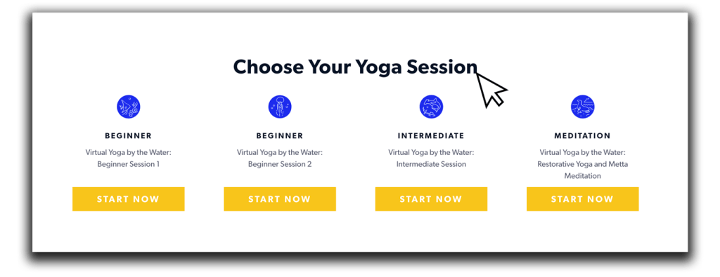 Choose your session – virtual yoga from the Georgia Aquarium. 