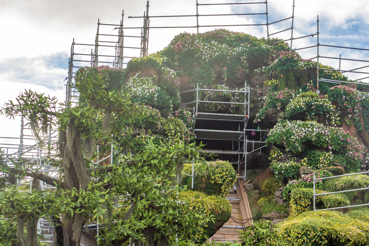 Foliage and bottles adding to former Splash Mountain at the upcoming Tiana boat ride in Magic Kingdom. 