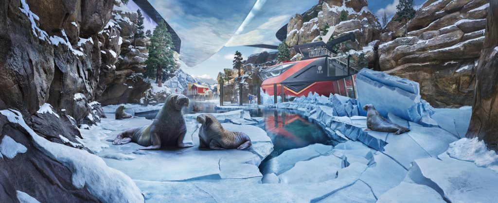 SeaWorld Abu Dhabi one year anniversary