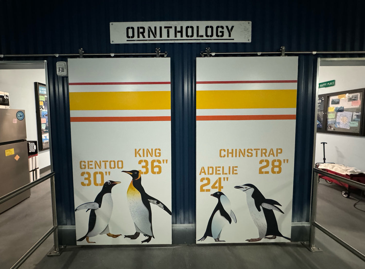 Penguin Trek roller coaster queue at SeaWorld Orlando