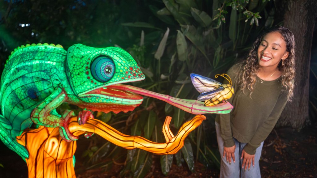 Illuminate Lantern Festival Aquatica Orlando SeaWorld