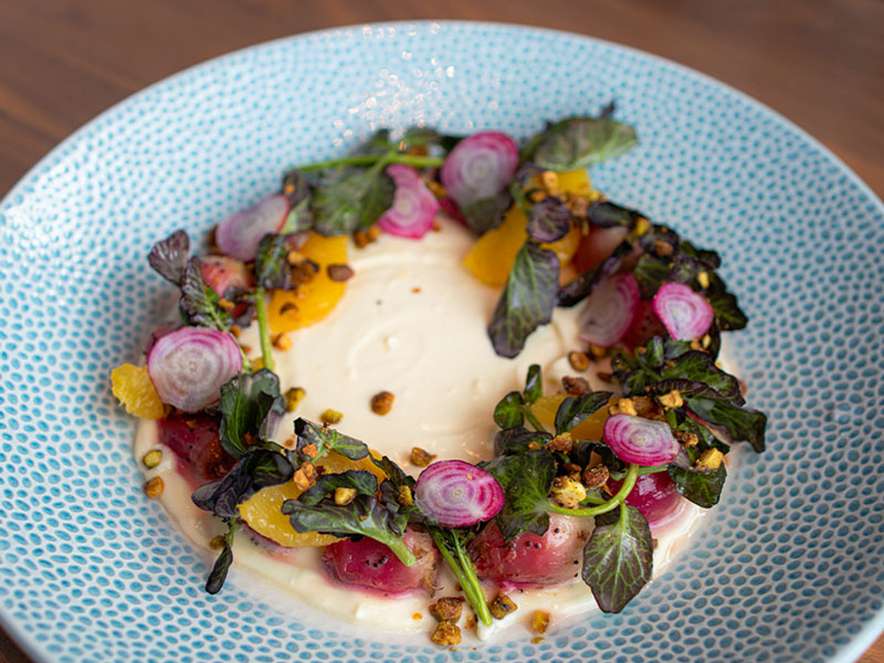 Seasonal Salad at The Atlantic, Universal Epic Universe